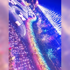 07D074C2-60D1-4B4C-BE27-450F012C0A51