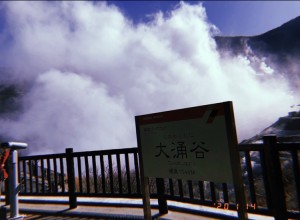 F9E847A8-C432-4FA8-B980-8B3B09B66EEF